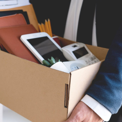 Unemployment Insurance Assistance