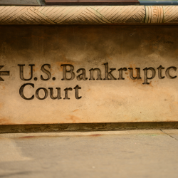 Bankruptcy & Creditors’ Rights