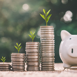 Business Savings & Money Market