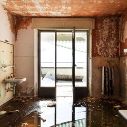 Water Damage Cleanup & Repair