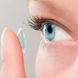 Contact Lenses