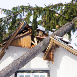 Storm Damage Restoration