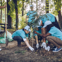 Environmental Stewardship Projects