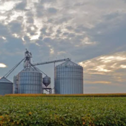 Farm And Ranch