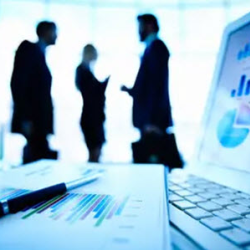 Risk Management/ Consulting