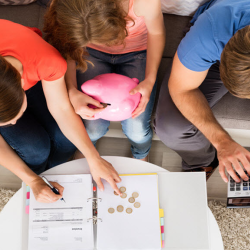 Financial Optimization Consultation