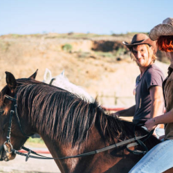 Equine-Assisted Learning Programs