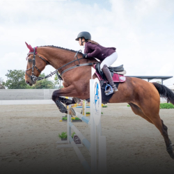 Seasonal Horse Camps