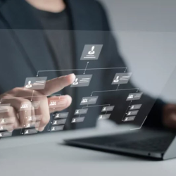 Business Entity Selection