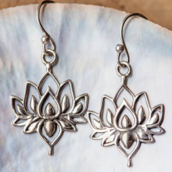 Chic Silver Earrings