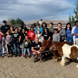 SIBS (Social Inclusion for Brothers and Sisters)