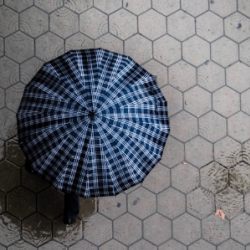 Umbrella Liability Insurance