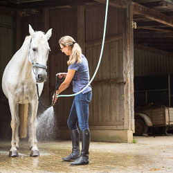 Equine Boarding & Care