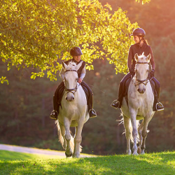 Riding Lessons & Training Programs