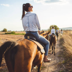 Trail Riding Experiences