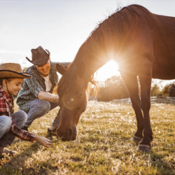 Farm Tours & Educational Programs