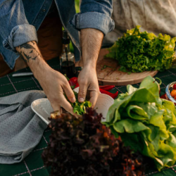 Farm-to-Table Experiences