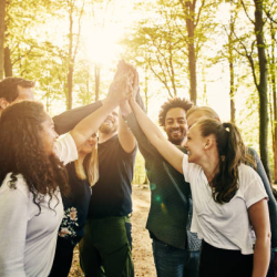Group Collaboration & Team-building Retreats