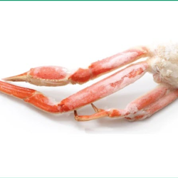 Seafood