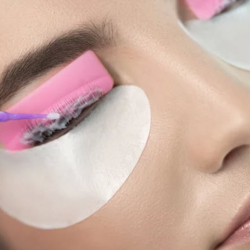 Brow and Lash Services