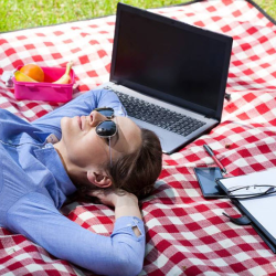 SEO Mastery Certification