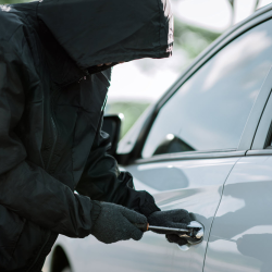 Theft Crimes