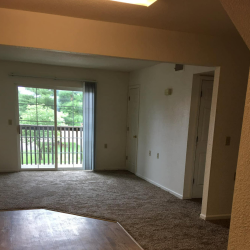 Apartment Rentals