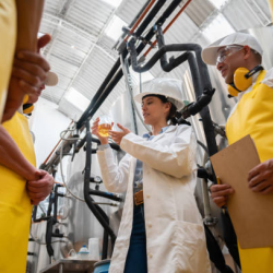 Technical Support & Training