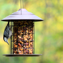 Tidy Cylinder Feeder