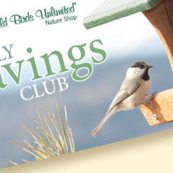 Special Offers & Promotions