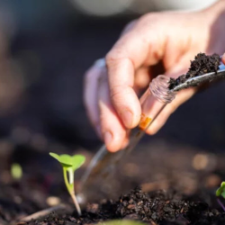 Soil testing