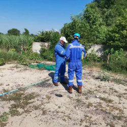 Radiological Survey