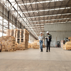 Pallet Sorting and Inspection