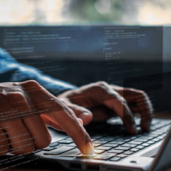 Custom Software Development