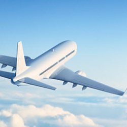 Flights and Car Rentals