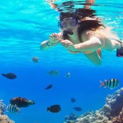 Shore Excursions