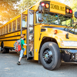 Transportation Services