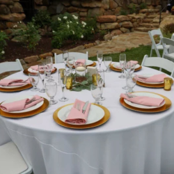 Venue Rentals