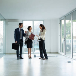 Professional On-Site Management