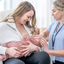 Lactation Consultant/Counselor Services