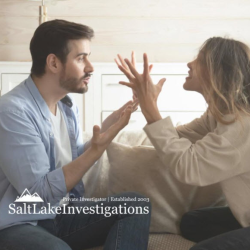 Infidelity Investigations