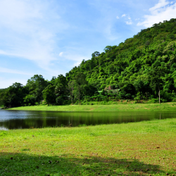 Community-Focused Atmosphere