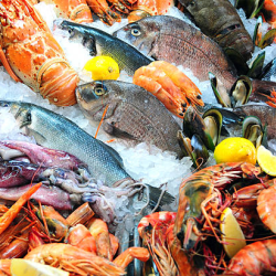 Fresh Seafood Selection