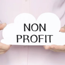 Non-Profit Trust Company Services