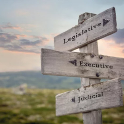 Legislative Strategy Consulting