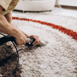 Carpet and Upholstery Cleaning