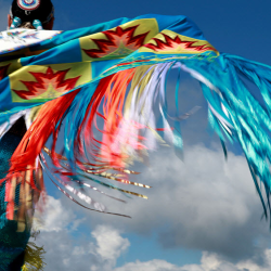 Pride is in Our Blood