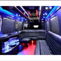 Group Limo Party Rental