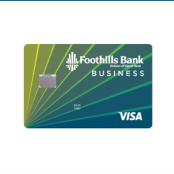 Visa Business Cards