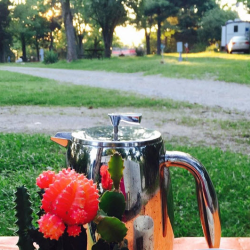 Scenic Picnic Areas